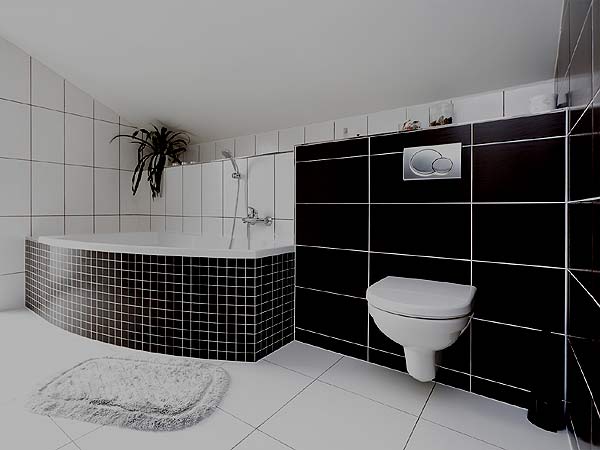 Obrázek - PROFI JÁDRA - Rekonstrukce koupelny, bytového jádra a bytu